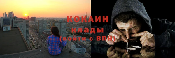 прущие грибы Семилуки