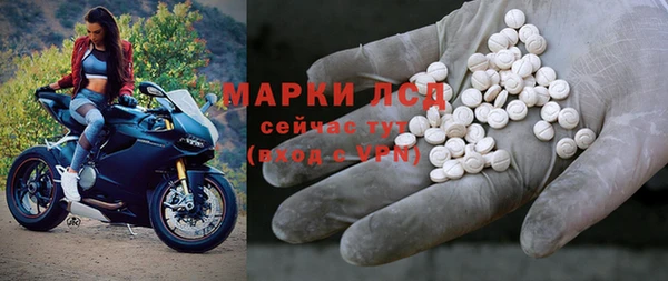 прущие грибы Семилуки