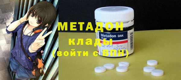 прущие грибы Семилуки