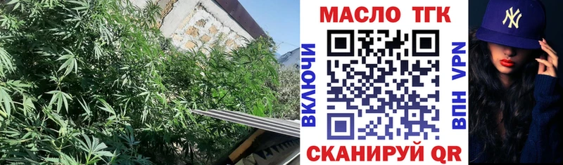 Дистиллят ТГК Wax  Купить закладки  Шахунья 
