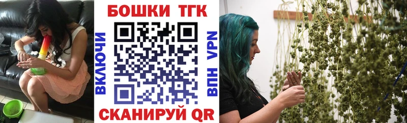 Канабис THC 21%  Купить закладки  Шахунья 